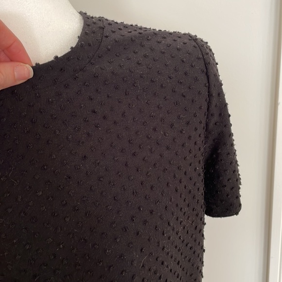 Wilfred - Picture 2 of 3